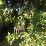 Wohnpension Litzkendorf *