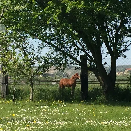 Apartament Wohnpension Litzkendorf *