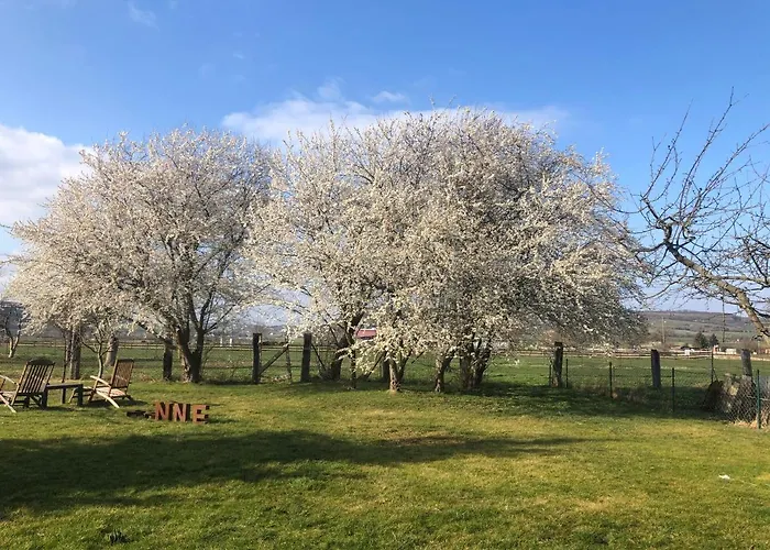 Wohnpension Litzkendorf Lägenhet Naumburg (Saale)