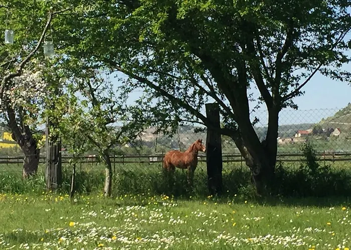 Apartment Wohnpension Litzkendorf *